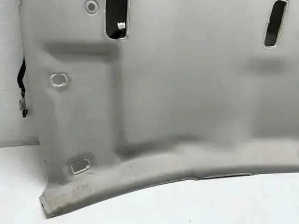 OEM 264300007R Plafonnier Arrière - Intérieur image 3