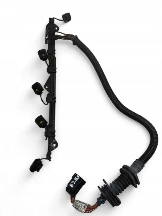 Rames d'injection BMW X5 E70 7808247 2010 image 2