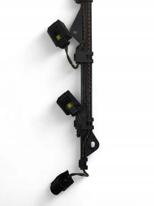 Rames d'injection BMW X5 E70 7808247 2010 image 3
