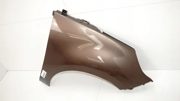OEM 360164867 Fram-höger stänkskärm Renault image 3