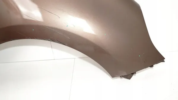 OEM 360164867 Fram-höger stänkskärm Renault image 6