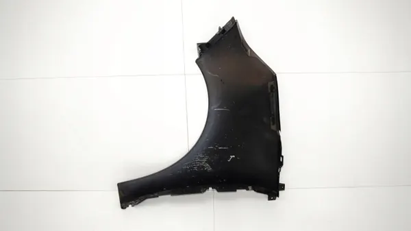 OEM 360164867 Fram-höger stänkskärm Renault image 8