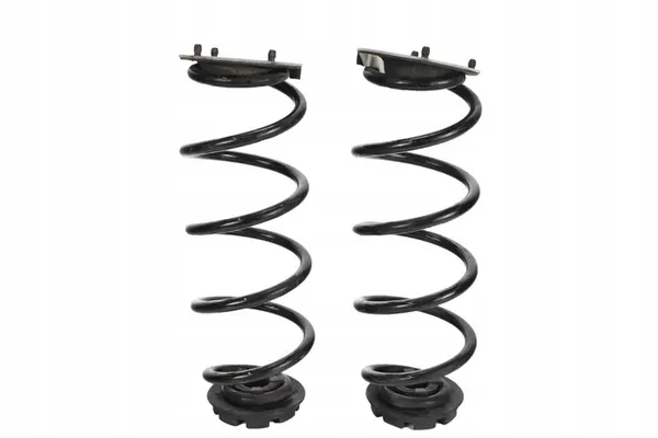 Set di molle posteriori 8200218906 Dacia Sandero III image 2