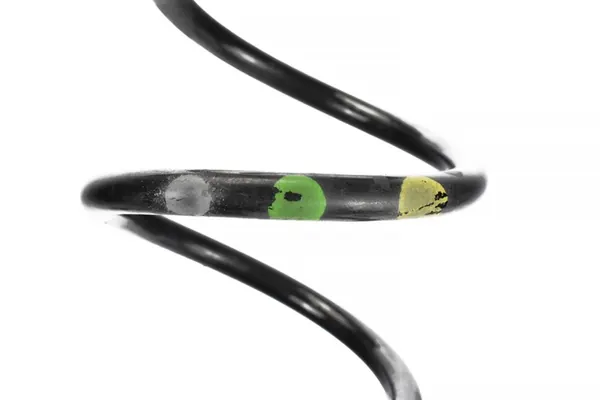 Set di molle posteriori 8200218906 Dacia Sandero III image 3