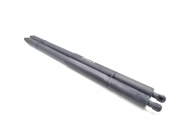 Klepdemper OEM 13441810 voor Vauxhall Insignia image 4