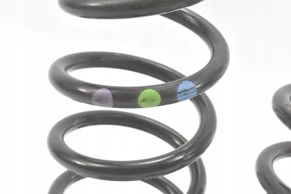 Set molle sospensione posteriore Dacia Jogger 2021- 550207042R image 2