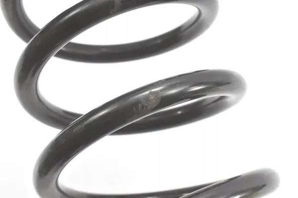 Set molle sospensione posteriore Dacia Jogger 2021- 550207042R image 4