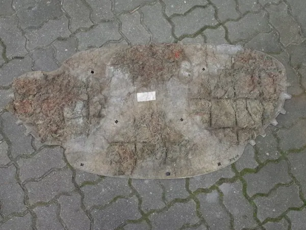 Tapis d'insonorisation capot VW EOS 05-10 OEM image 4