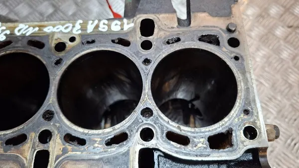 Motorblock Halv 199A3000 Fiat Opel 1.3 CDTI JTD image 5