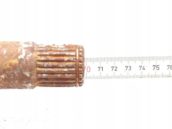 Framaxel Ford Focus 1.0 EcoBoost 2022 OEM image 10