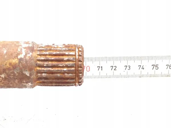 Framaxel Ford Focus 1.0 EcoBoost 2022 OEM image 2