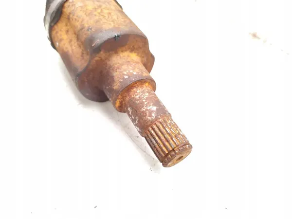 Framaxel Ford Focus 1.0 EcoBoost 2022 OEM image 3