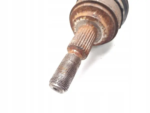 Framaxel Ford Focus 1.0 EcoBoost 2022 OEM image 5