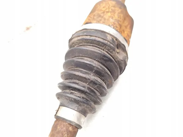 Framaxel Ford Focus 1.0 EcoBoost 2022 OEM image 6