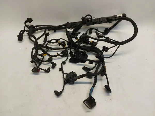 Faisceau Moteur BMW OEM 8589975-04 pour X5 3.0d image 2