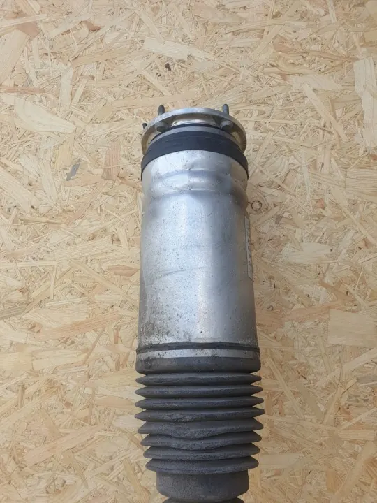 OEM DPLA-3C285-CG Stoßdämpfer vorne rechts image 3