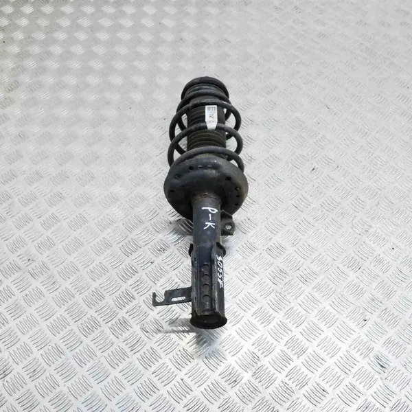 Amortizzatore anteriore sinistro Chevrolet OE 13261196 image 2