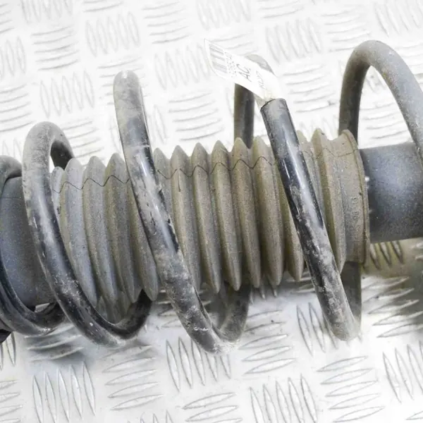 Amortizzatore anteriore sinistro Chevrolet OE 13261196 image 4