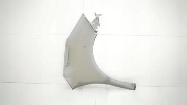 Para-lamas dianteiro esquerdo OEM 365578104 Citroen C3 II image 10
