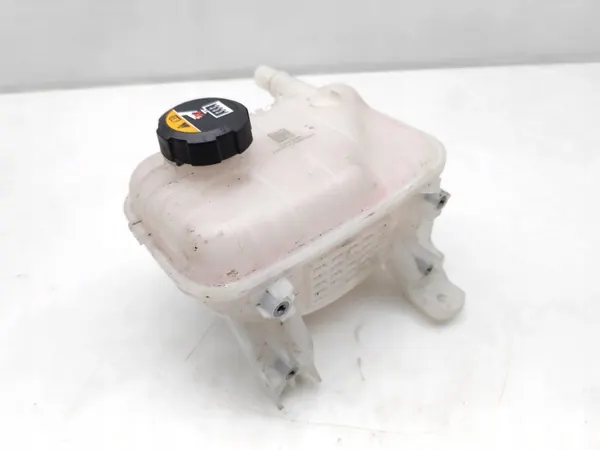 Tanque de expansão de refrigerante OEM 253M0GX000 image 2