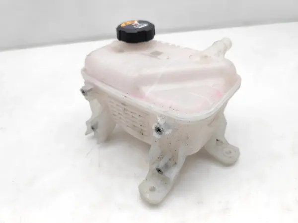 Tanque de expansão de refrigerante OEM 253M0GX000 image 4