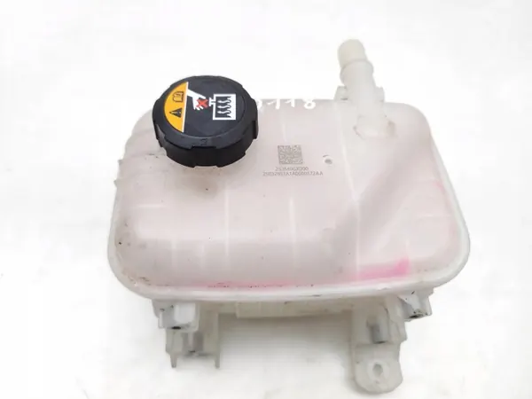Tanque de expansão de refrigerante OEM 253M0GX000 image 6