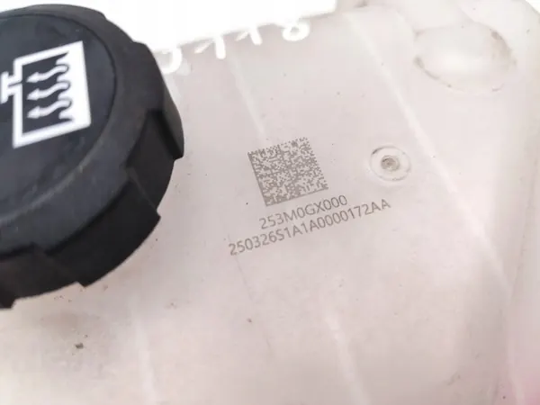 Tanque de expansão de refrigerante OEM 253M0GX000 image 7