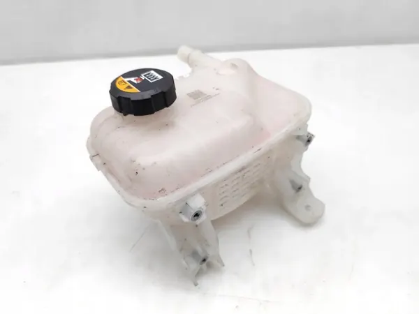 Tanque de expansão de refrigerante OEM 253M0GX000 image 9