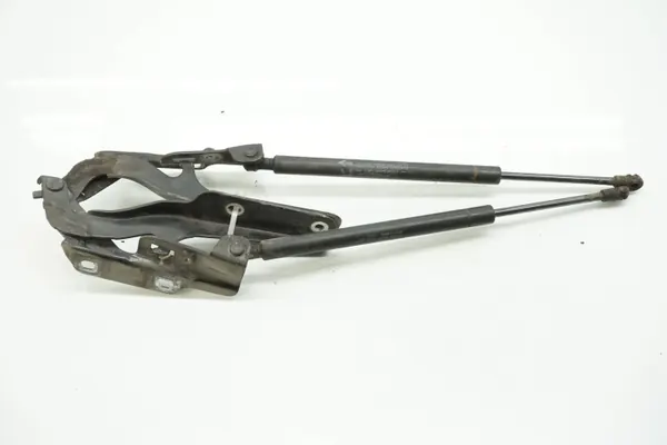 Nissan Murano achterklepdemper OEM 65471CB800 2006 image 2