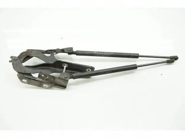 Nissan Murano achterklepdemper OEM 65471CB800 2006 image 5