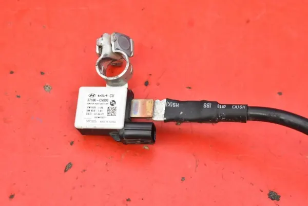 Borne Négative OEM 37180-CV000 pour Kia EV6 image 8