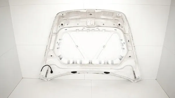 Motorafdekking OEM 375484618 voor VW Beetle 2010-2014 image 9