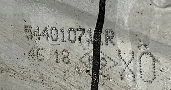 Berceau moteur Renault Zoe II 2019- 544010711R image 8