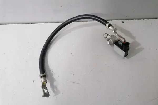 Klema minusowa BMW 3 (F30, F80) 9117877 image 4