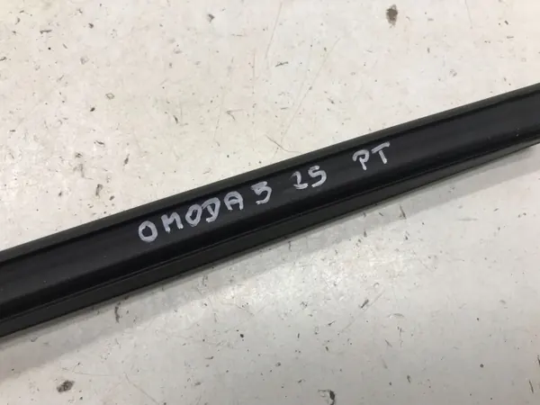 Fensterdichtung OEM 554001316AA Rechte Hintertür image 3
