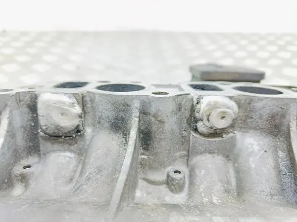 Collecteur d'admission OPEL ZAFIRA B 1.9L diesel 2007 55210201 image 10