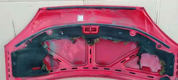 Tampa do motor Ford Galaxy MK1 Lift 00-06 image 5