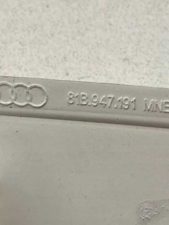 Audi Q2 2017 Feu de Plaque OEM 81B947191 image 6