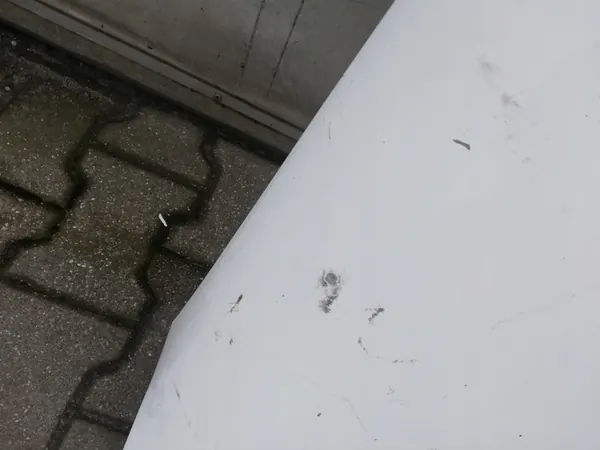 Framre Höger Skärm Berlingo Partner 03-08 OEM 9824691280 image 4