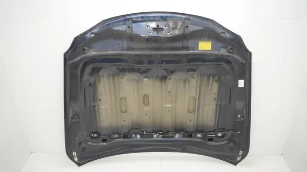 Capó Motor Lexus IS II 05-10R OEM 360208761 image 9