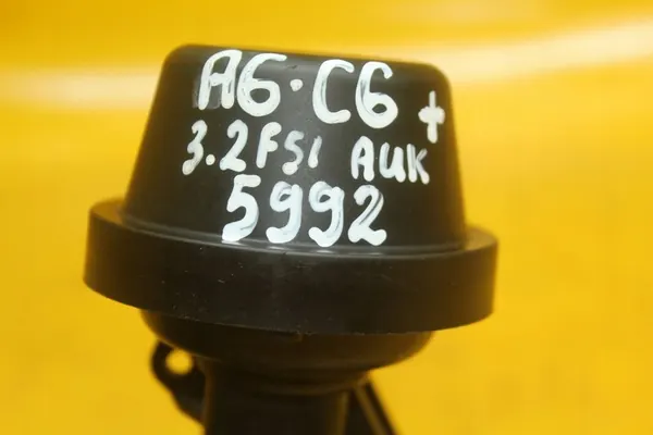 Bomba de vácuo Audi A6 C6 3.2 FSI 06E133619 image 9