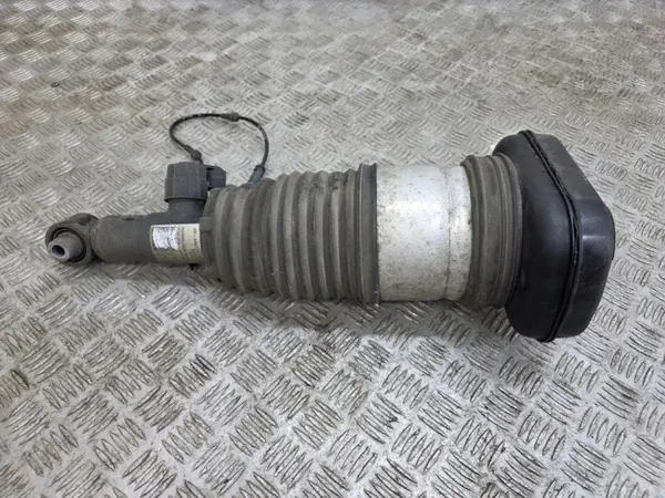 Hinterer rechter Luftdämpfer OEM 78315615 BMW X5 G05 image 2