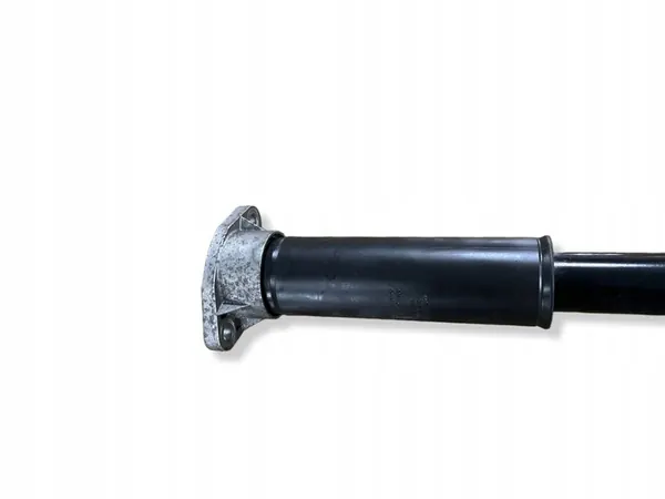 Bakre stötdämpare vänster sida Mercedes-Benz CLS C257 A2133201530 image 2