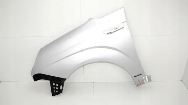 OEM 360179876 Fram vänster stänkskärm SsangYong Rodius image 2