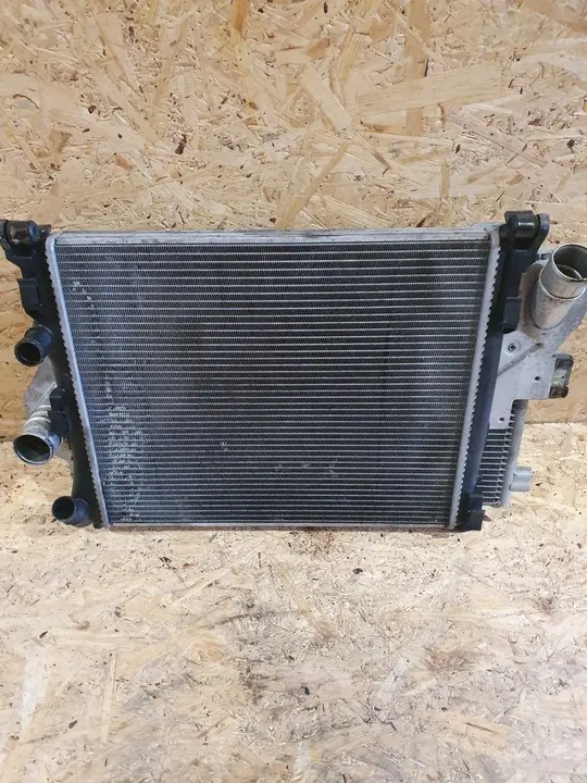 Conjunto de Ventilador de Radiador Clio II image 5