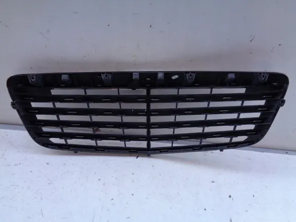 Griglia Mercedes E-Class W211 06- Lift image 4