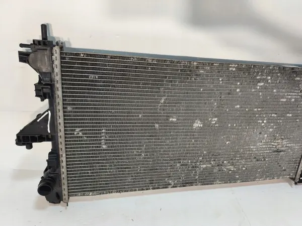 Citroen OE 1382421080 Motor koelradiator image 3