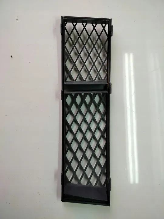 Griglia destra BMW 740i 750Li 760Li 51117184150 image 2