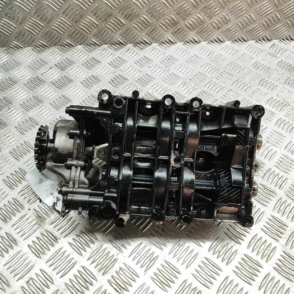Oil Pump LAND ROVER RANGE ROVER EVOQUE 2.2L diesel 9636898580 image 2