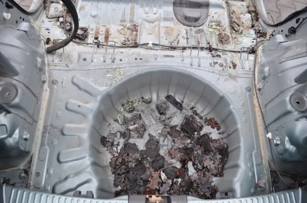 OEM 416608 Dacia Sandero III Aile Arrière Quart image 4